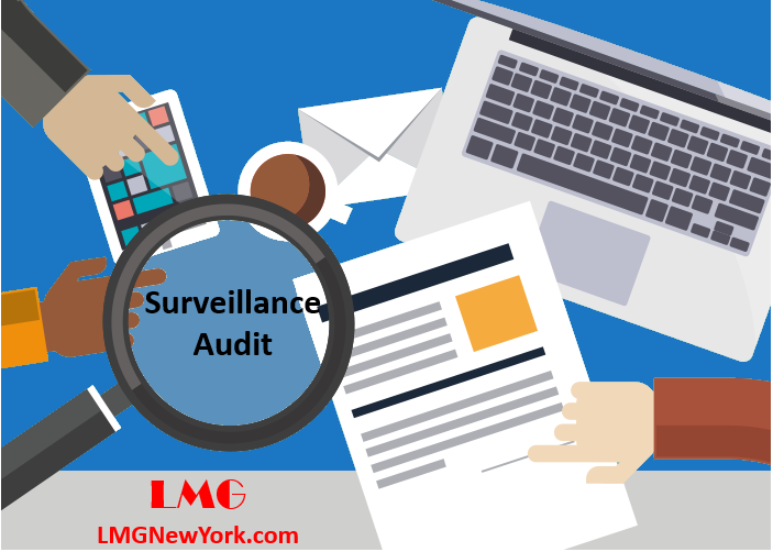 ISO 9001 Surveillance Audit LMG New York