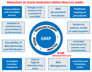 GMP Good Manufacturing Practice - LMG New York