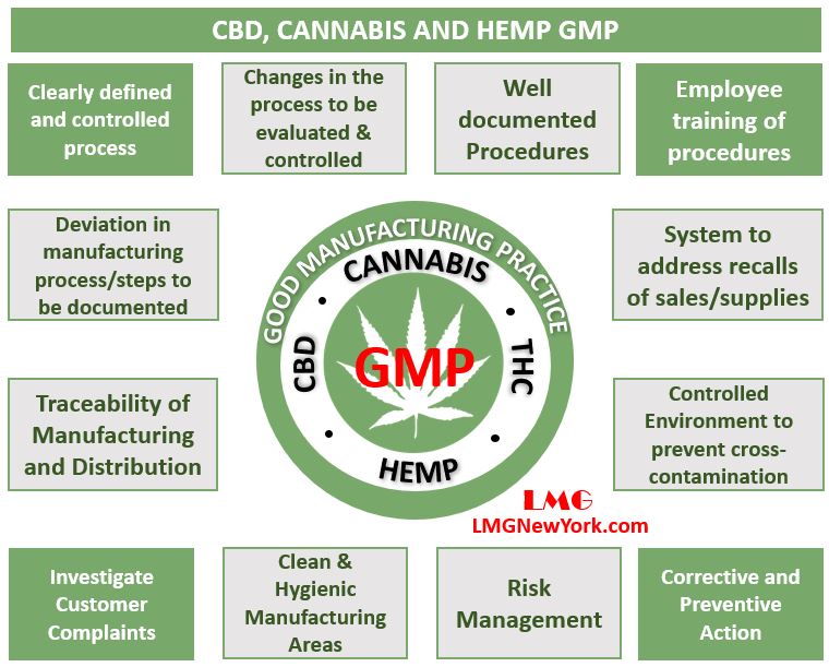 Cannabis CBD And Hemp GMP - LMG New York